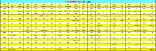Cuadro Gran Lote 1-30.png