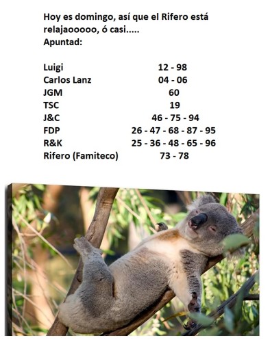 59.jpg