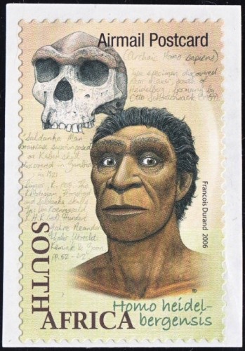 Homo heidelbergensis (Homo rhodesiensis), 600-200 thousands years ago