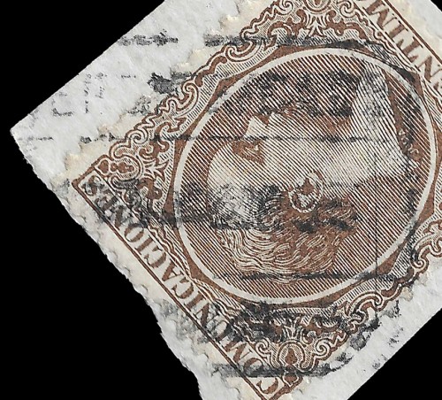 Minguez-Desonocido-en-pelón-2.jpg