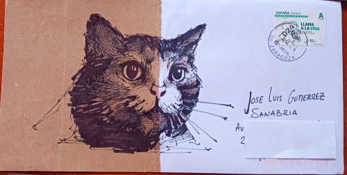 gato.jpg
