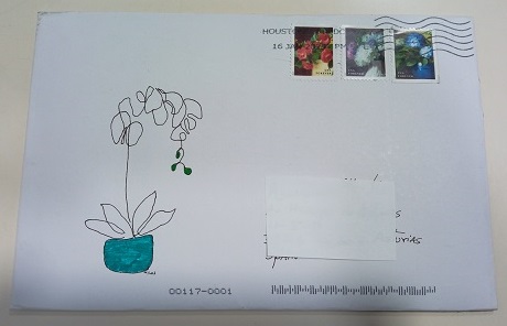 1738266233033.jpg