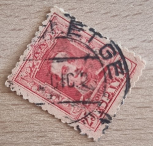 1000067013.jpg