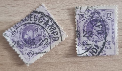 1000067019.jpg