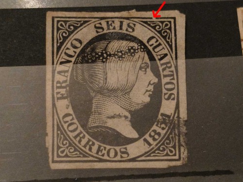 1000098789.jpg