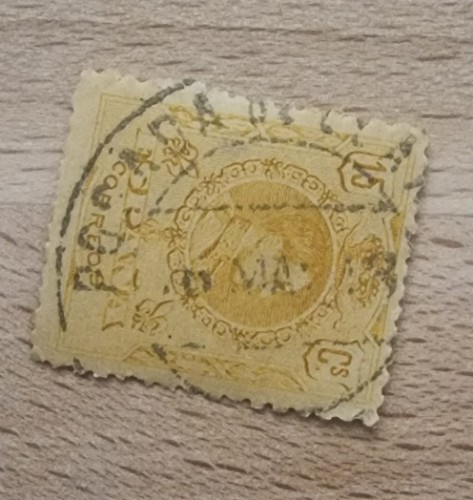 1000067827.jpg