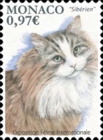 siberiano.jpg