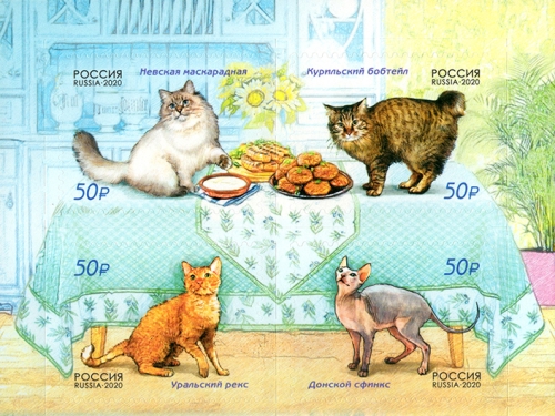 2020rusia.jpg