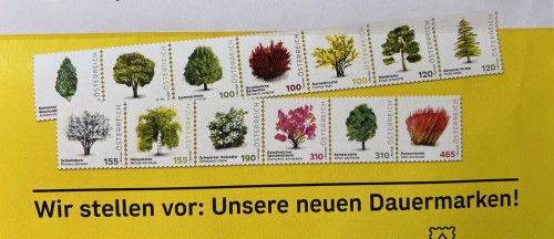 Definitives2025 (1).jpg