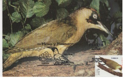 pico verde.JPG