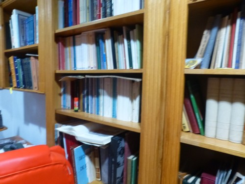 P1110426.JPG