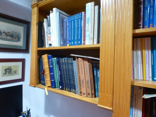 P1110429.JPG