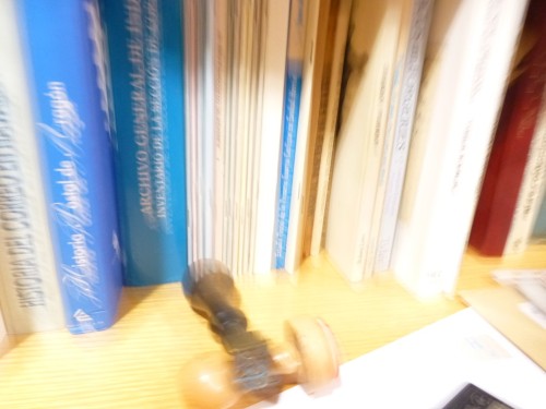 P1110417.JPG