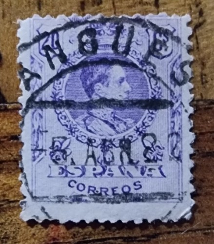 1000077130.jpg