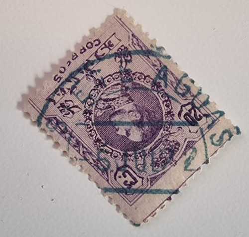 1000077157.jpg