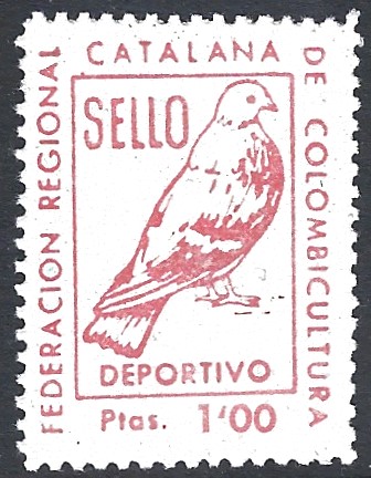 Colombicultura.jpg
