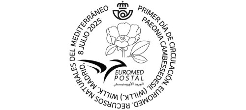paeonia.jpg