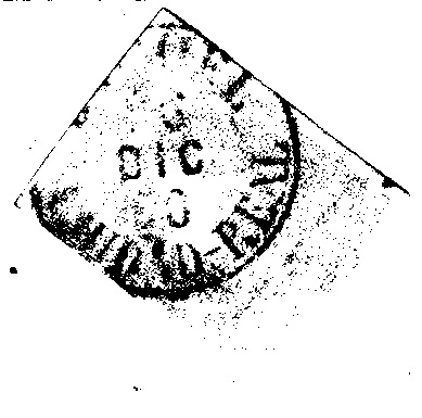 19-202507121752352969333.jpg