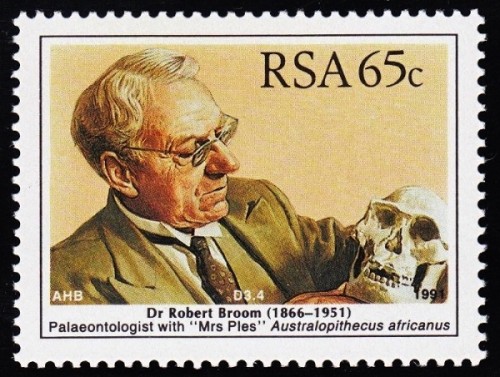Africanus 2.jpg
