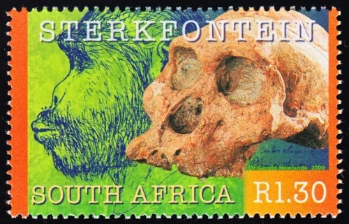Africanus 4.jpg