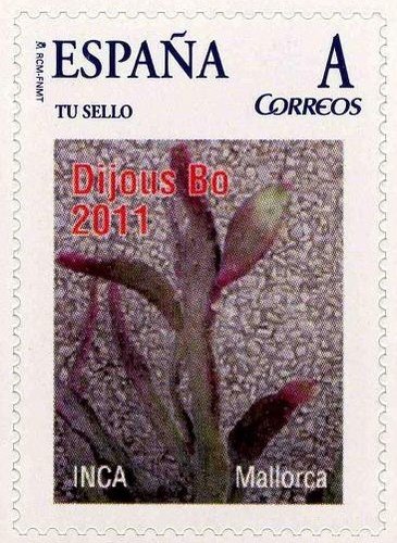 DIJOUS BO (Inca)