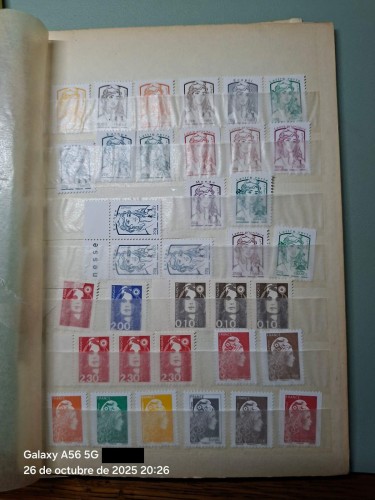 LOTE 290.jpg