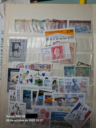 LOTE 290E.jpg