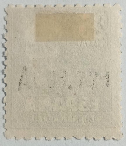 LOTE 315A.jpg
