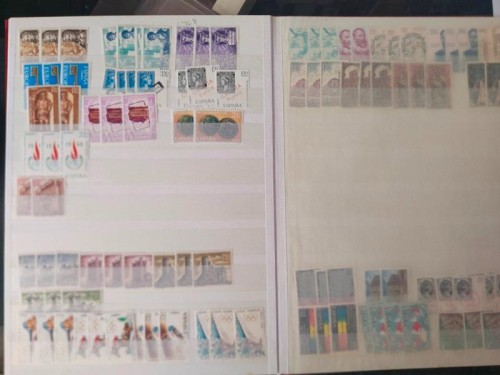 LOTE 50G.jpg