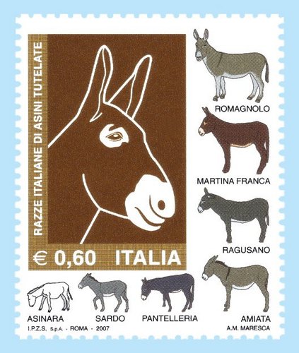 ITALIA - BURRO Asini.jpg