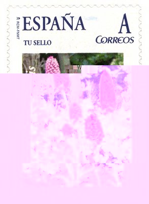 Sello personalizado. Orquídeas en Asturias. 2.jpg