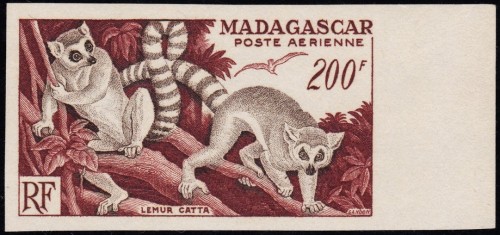 Madagascar 1954 Lemurs PF 1.jpg