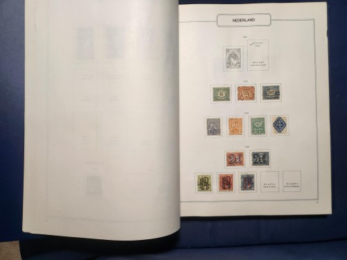 LOTE 17 (6).jpg