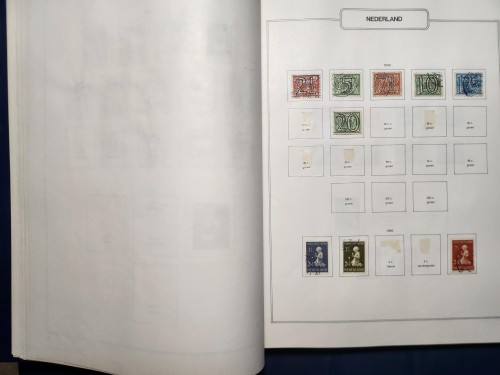 LOTE 17 (23).jpg