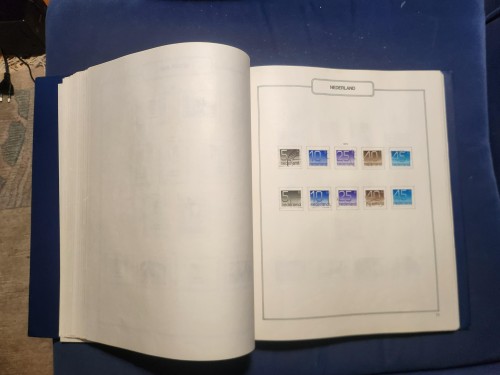 LOTE 17 (51).jpg