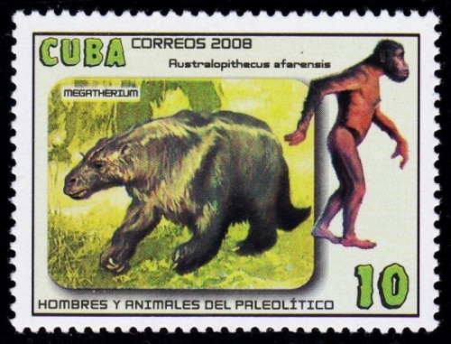 Cuba 2008 Human Evolution 1.jpg