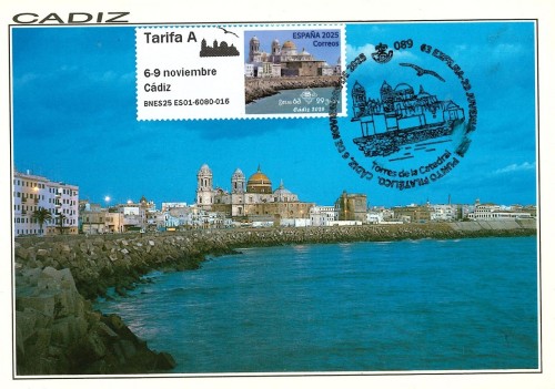 TM CATEDRAL CADIZ 3.jpg