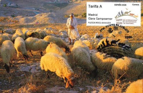 TM PASTOREO MDCC 3.jpg