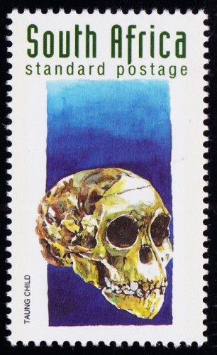 South Africa 1998 History 10.jpg