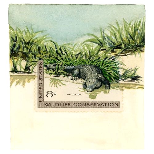 SA I Animales 05.jpg