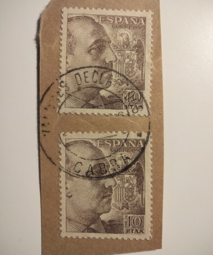 MP CORDOBA CABRA VD.jpg