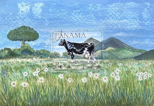 SA VI Paisajes 28.jpg