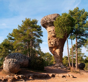 Bosque encantado
