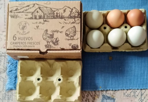Cartón contenedor de huevos