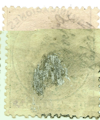 0129R_1.jpg