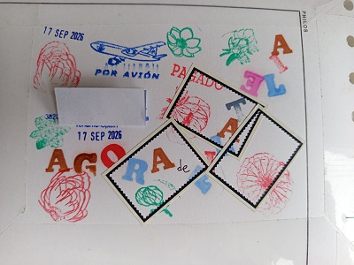 artipi2 (1).jpg