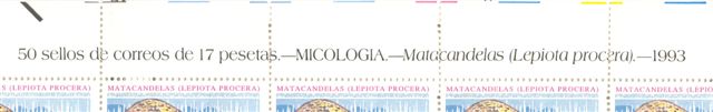 Edifil 3244. Cabecera. Baja.jpg