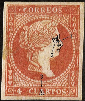 8f.jpg