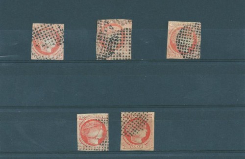 5 y 6