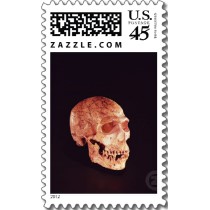 hsapiens.jpg